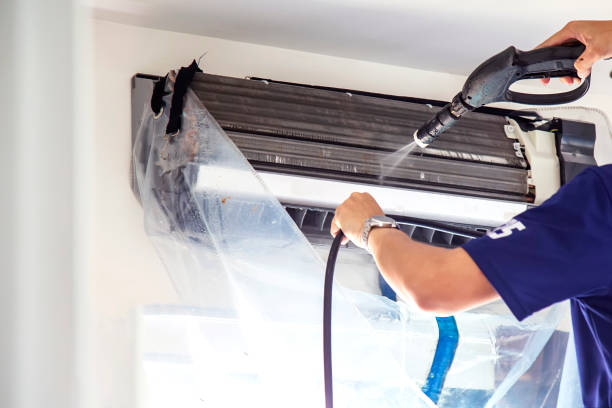Best Air Duct Sanitizing Services  in Princeton, TX